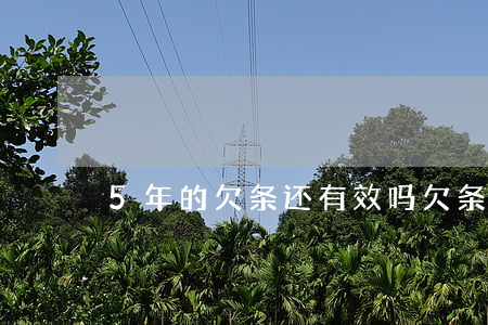 5年的欠条还有效吗(欠条5年了还有效吗)