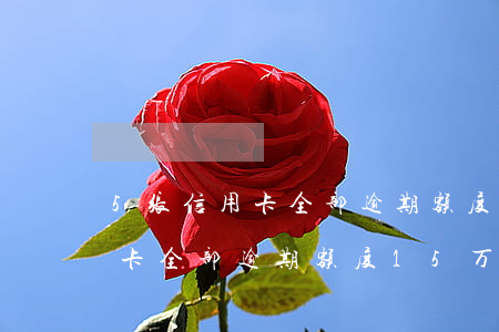 5张信用卡全部逾期额度15万-5张信用卡全部逾期额度15万怎么办