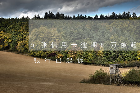 5张信用卡逾期8万被起诉(欠信用卡6万多银行已起诉)