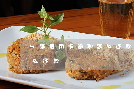 5张信用卡逾期怎么还款(5张信用卡逾期怎么还款)