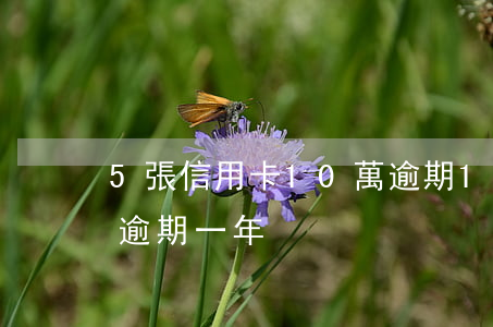 5張信用卡10萬逾期1年(欠信用卡10萬逾期一年)