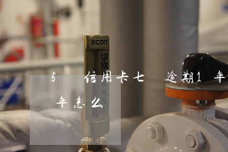 5張信用卡七萬逾期1年(信用卡七千逾期一年怎么辦)