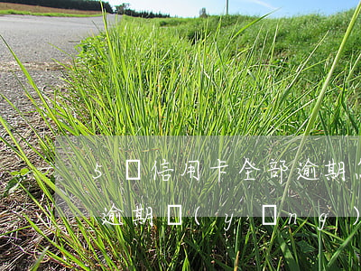 5張信用卡全部逾期怎么辦(四張信用卡全部逾期應(yīng)該怎么辦)