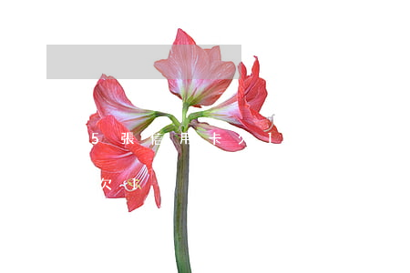 5張信用卡欠13萬(wàn)(5張信用卡欠13萬(wàn))