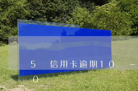 5張信用卡逾期10萬-5張信用卡逾期10萬