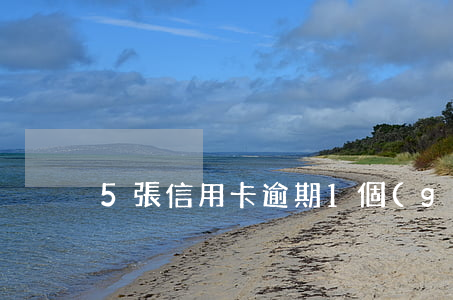 5張信用卡逾期1個(gè)月