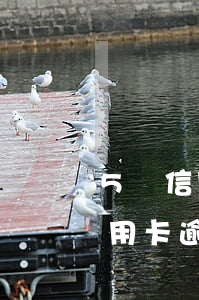 5張信用卡逾期3個月了怎么辦呢-5張信用卡逾期3個月了怎么辦呢怎么還款