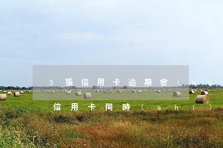 5張信用卡逾期會(huì)怎樣-四五張信用卡同時(shí)逾期幾個(gè)月會(huì)怎樣