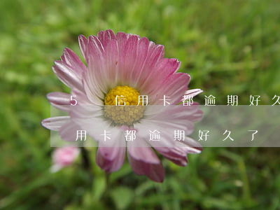 5張信用卡都逾期好久了該怎么辦-5張信用卡都逾期好久了該怎么辦呢