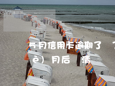 5月信用卡逾期了還了(信用卡逾期5個(gè)月后還清)