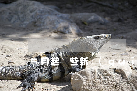 5月起，這些新規(guī)將影響你我生活