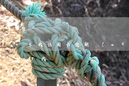 5次信用卡逾期（沒(méi)辦信用卡逾期7次）
