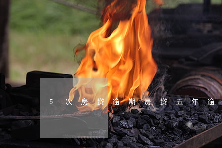 5次房贷逾期(房贷五年逾期6次)