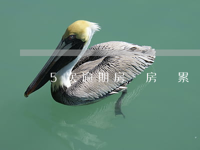 5次逾期房貸(房貸累計逾期4次)