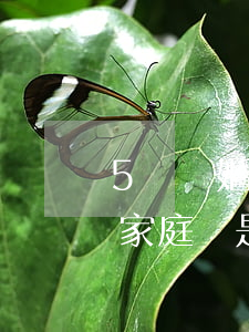 5歲離婚帶孩子好還是單身好(離婚帶小孩算家庭還是單身)