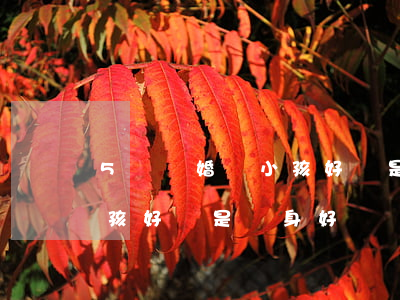 5歲離婚帶小孩好還是單身好(5歲離婚帶小孩好還是單身好)