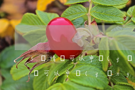 5種情況可以申請(qǐng)離婚(5種情況可以申請(qǐng)離婚)