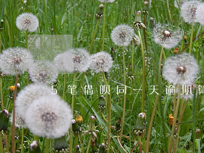 5笔借呗同一天逾期算几次