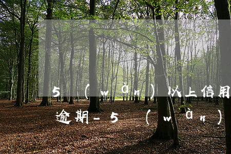 5萬(wàn)以上信用卡嚴(yán)重逾期-5萬(wàn)以上信用卡嚴(yán)重逾期怎么辦