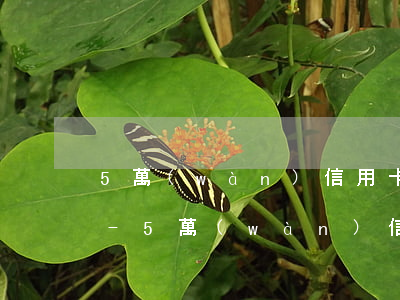 5萬(wàn)信用卡怎么協(xié)商-5萬(wàn)信用卡怎么協(xié)商