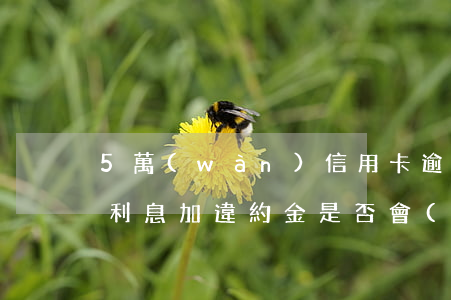 5萬(wàn)信用卡逾期：一個(gè)月利息加違約金，是否會(huì)坐牢？