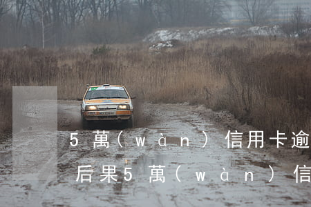 5萬(wàn)信用卡逾期三個(gè)月后果(5萬(wàn)信用卡逾期三個(gè)月后果)