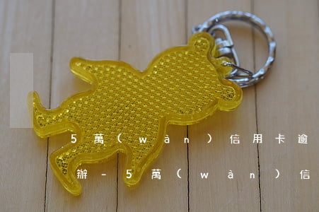 5萬(wàn)信用卡逾期了7-8天怎么辦-5萬(wàn)信用卡逾期了7-8天怎么辦理