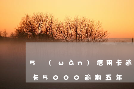 5萬(wàn)信用卡逾期有什么后果(信用卡5000逾期五年會(huì)怎么樣)