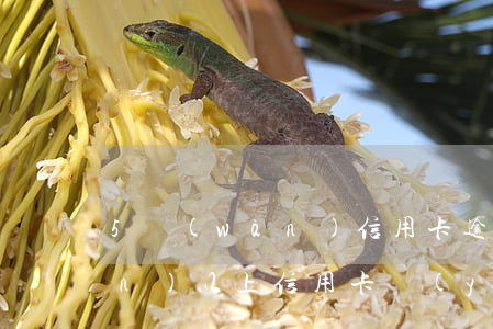 5萬(wàn)信用卡逾期立案 5萬(wàn)以上信用卡嚴(yán)重逾期