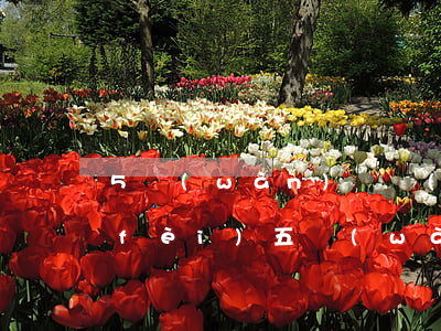 5萬(wàn)債務(wù)糾紛律師費(fèi)(五萬(wàn)債務(wù)律師費(fèi)多少)