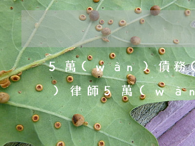 5萬(wàn)債務(wù)請(qǐng)律師 5萬(wàn)債務(wù)請(qǐng)律師要多少錢(qián)