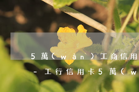 5萬(wàn)工商信用卡逾期利息怎么算-工行信用卡5萬(wàn)逾期