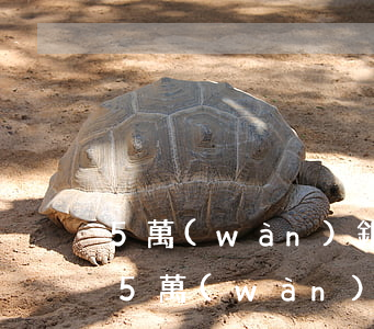 5萬(wàn)銀行借款利息逾期一天多少(5萬(wàn)銀行借款利息逾期一天多少)