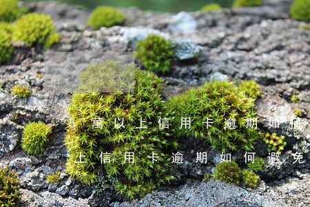 5萬以上信用卡逾期如何避免起訴-5萬以上信用卡逾期如何避免起訴呢