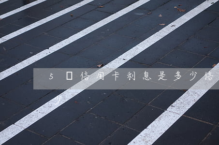 5萬信用卡利息是多少(信用卡每個月利息多少)