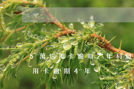 5萬信用卡逾期2年利息多少錢(5萬本金信用卡逾期4年)