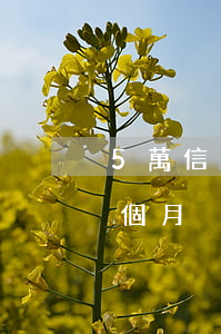 5萬信用卡逾期4年了(信用卡5萬多逾期三個月)