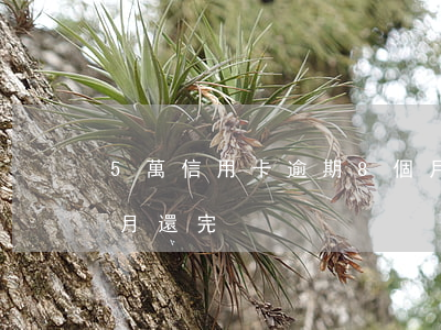 5萬信用卡逾期8個月(5萬信用卡逾期8個月還完)