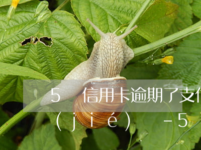 5萬信用卡逾期了支付寶會(huì)凍結(jié)嗎-5萬信用卡逾期了支付寶會(huì)凍結(jié)嗎怎么解凍