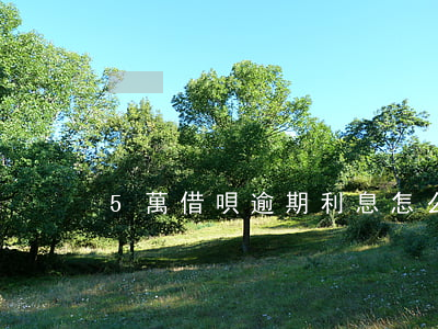 5萬借唄逾期利息怎么算的呀(借唄5萬逾期)