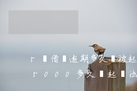 5萬借唄逾期多久會被起訴(借唄逾期5個月5000多久會起訴法院)