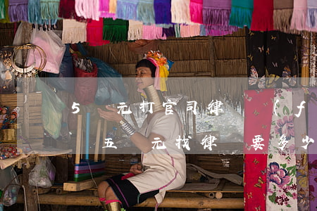 5萬元打官司律師費(fèi)需要多少(起訴五萬元找律師要多少錢)