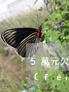 5萬元欠款請律師要多少錢(4萬欠款律師費(fèi)用是多少)