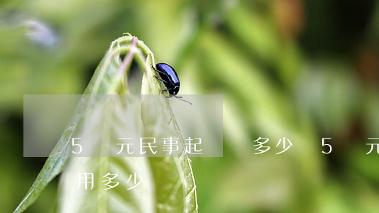 5萬元民事起訴費多少錢(5萬元法院起訴費用多少錢)