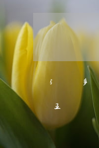 5萬多網(wǎng)貸逾期了10天(欠了五萬網(wǎng)貸全部逾期怎么辦)