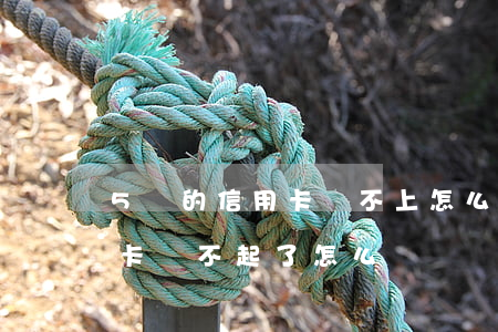 5萬的信用卡還不上怎么辦理嗎-5萬信用卡還不起了怎么辦