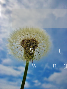 5萬網(wǎng)商貸逾期利息多少(網(wǎng)商貸5萬一個月利息多少)