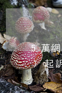 5萬網(wǎng)貸逾期多久會(huì)起訴