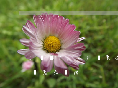 5萬負(fù)債怎么還-5萬負(fù)債怎么還清