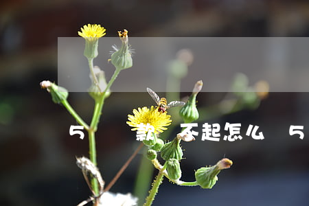5萬貸款還不起怎么辦(5萬貸款還不上怎么辦)